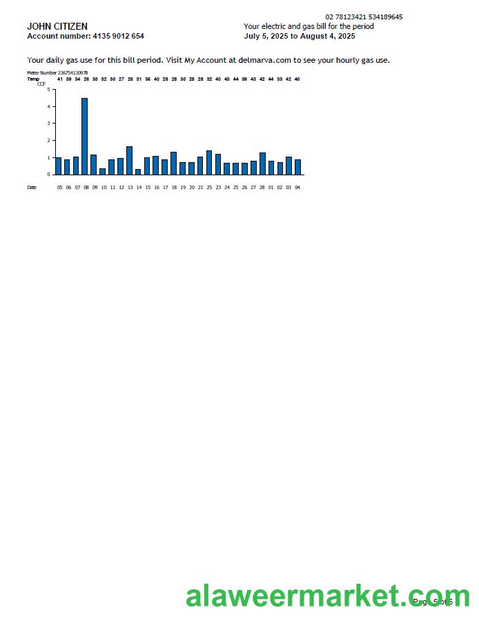 USA Delmarva Power utility bill template in Word and PDF formats, 5 pages, 5th page
